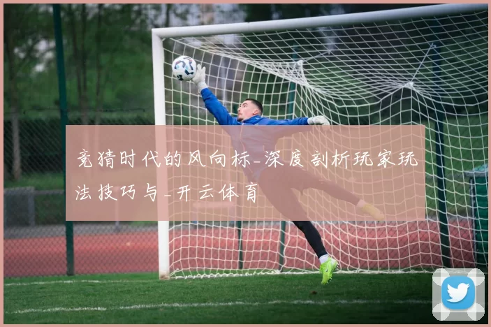 竞猜时代的风向标_深度剖析玩家玩法技巧与_开云体育