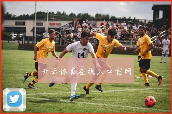 开云体育在线入口官网