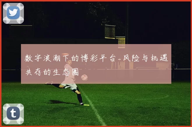 数字浪潮下的博彩平台_风险与机遇共存的生态圈