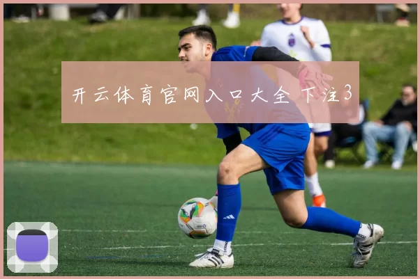 开云体育官网入口大全 下注3