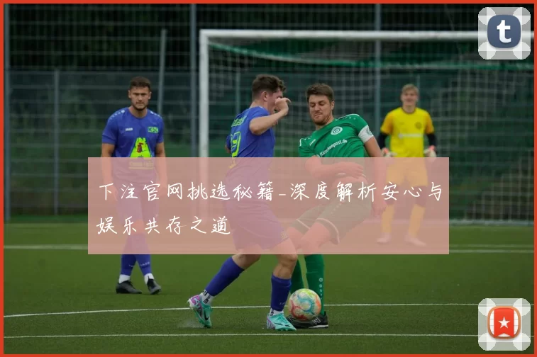 下注官网挑选秘籍_深度解析安心与娱乐共存之道