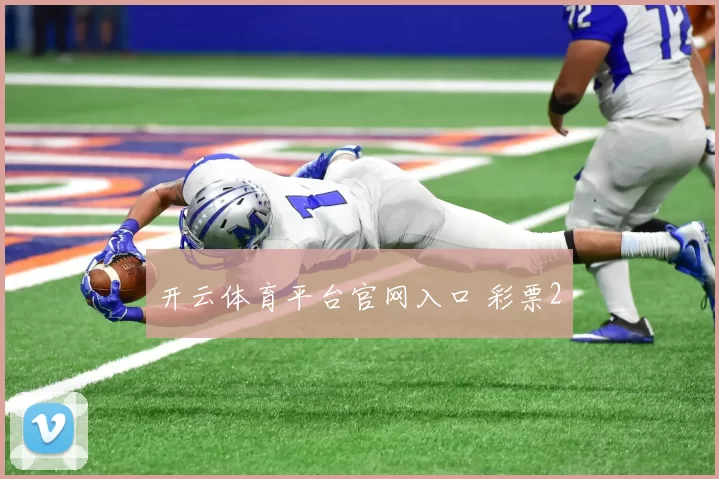 开云体育平台官网入口 彩票2