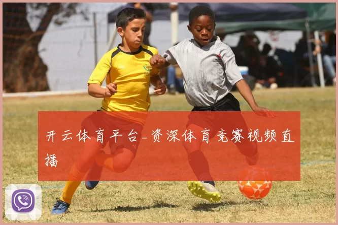 开云体育平台_资深体育竞赛视频直播