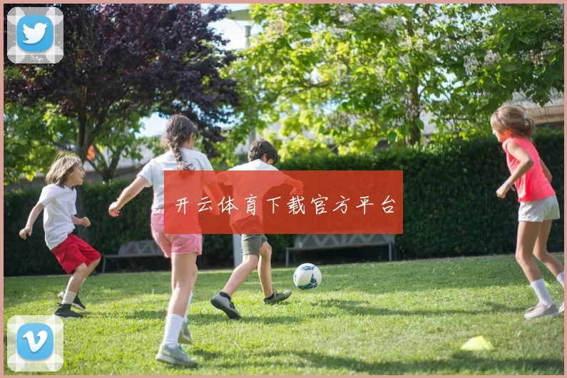 开云体育下载官方平台