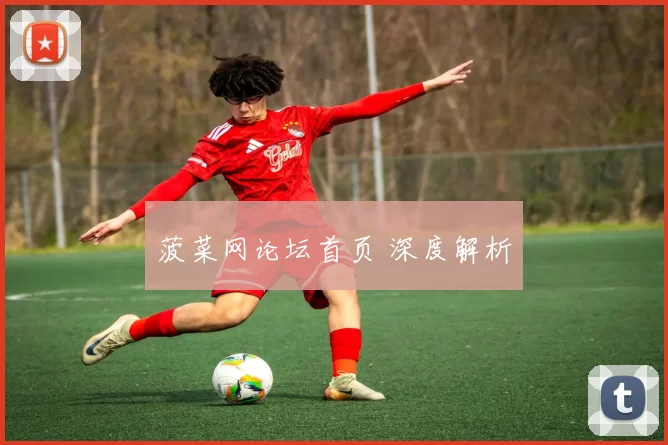 菠菜网论坛首页 深度解析