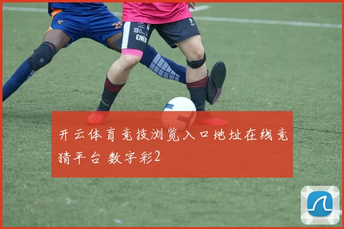 开云体育竞技浏览入口地址在线竞猜平台 数字彩2