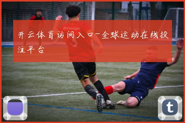 开云体育访问入口-全球运动在线投注平台