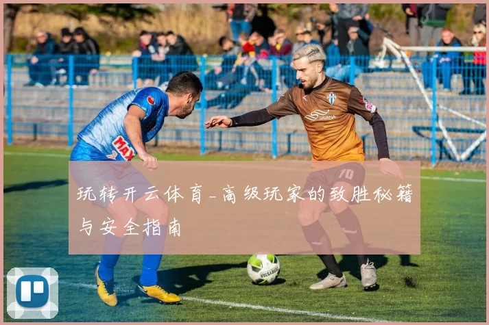 玩转开云体育_高级玩家的致胜秘籍与安全指南