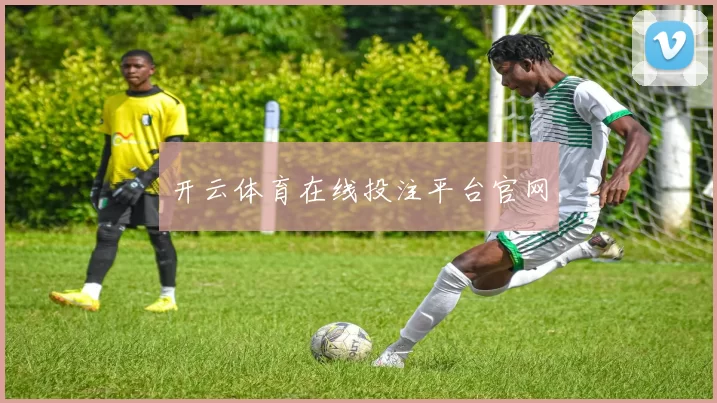 开云体育在线投注平台官网