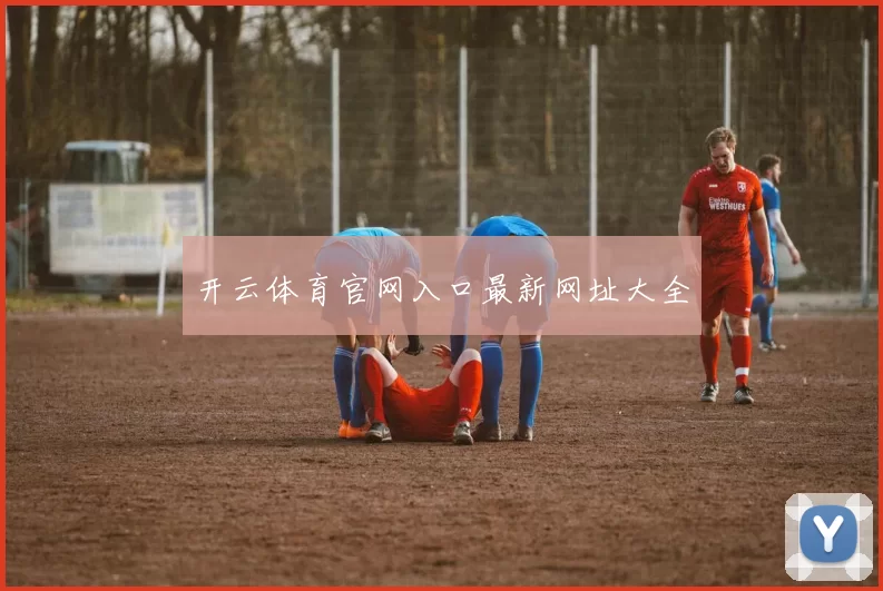 开云体育官网入口最新网址大全