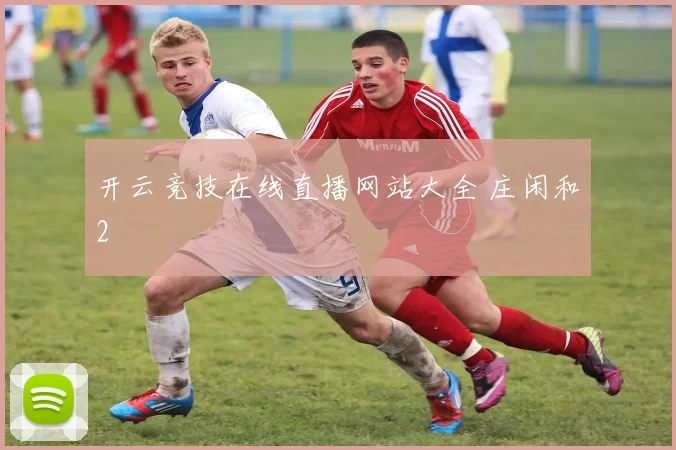 开云竞技在线直播网站大全 庄闲和2