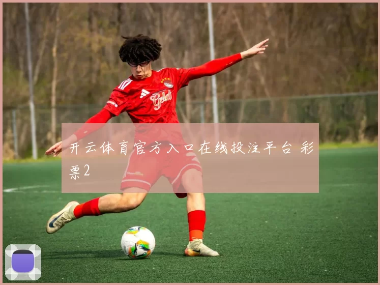 开云体育官方入口在线投注平台 彩票2