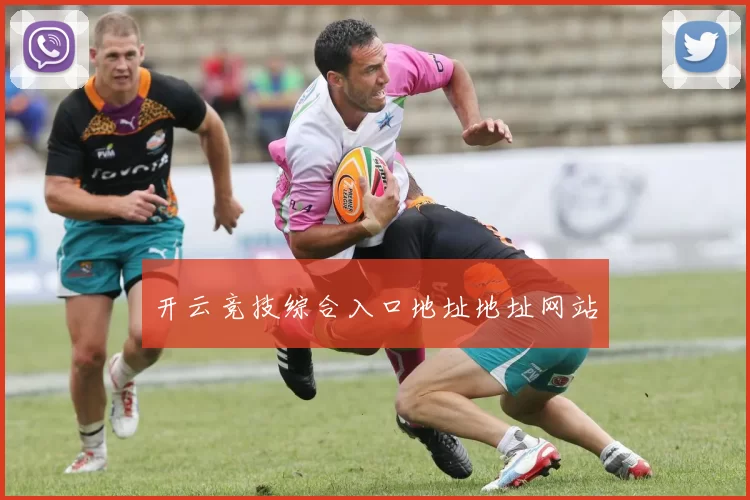 开云竞技综合入口地址地址网站