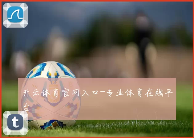 开云体育官网入口-专业体育在线平台