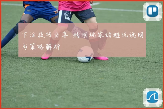 下注技巧分享_精明玩家的避坑说明与策略解析