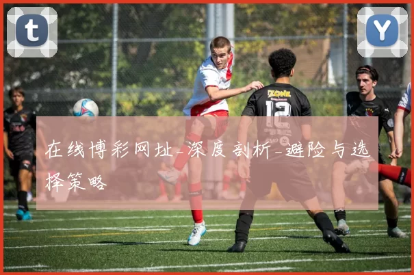 在线博彩网址_深度剖析_避险与选择策略