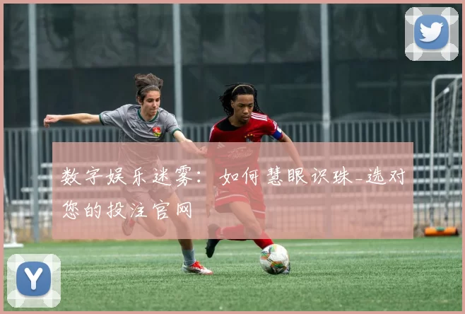 数字娱乐迷雾：如何慧眼识珠_选对您的投注官网