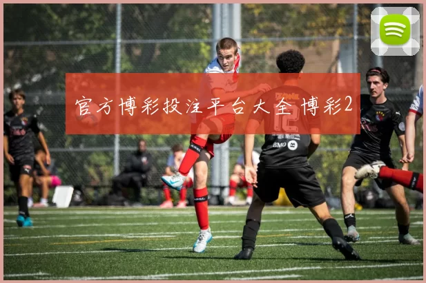 官方博彩投注平台大全 博彩2