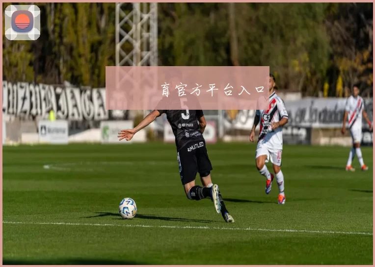 開雲體育官方平台入口