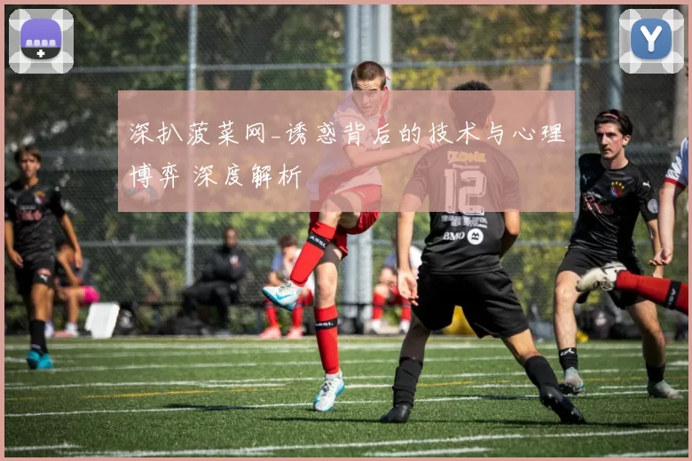 深扒菠菜网_诱惑背后的技术与心理博弈 深度解析