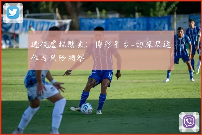 透视虚拟赌桌：博彩平台_的深层运作与风险洞察