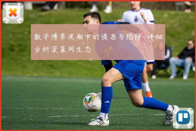 数字博弈浪潮中的诱惑与陷阱_详细分析菠菜网生态