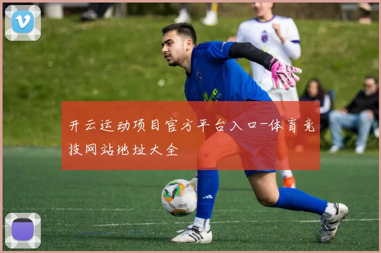 开云运动项目官方平台入口-体育竞技网站地址大全