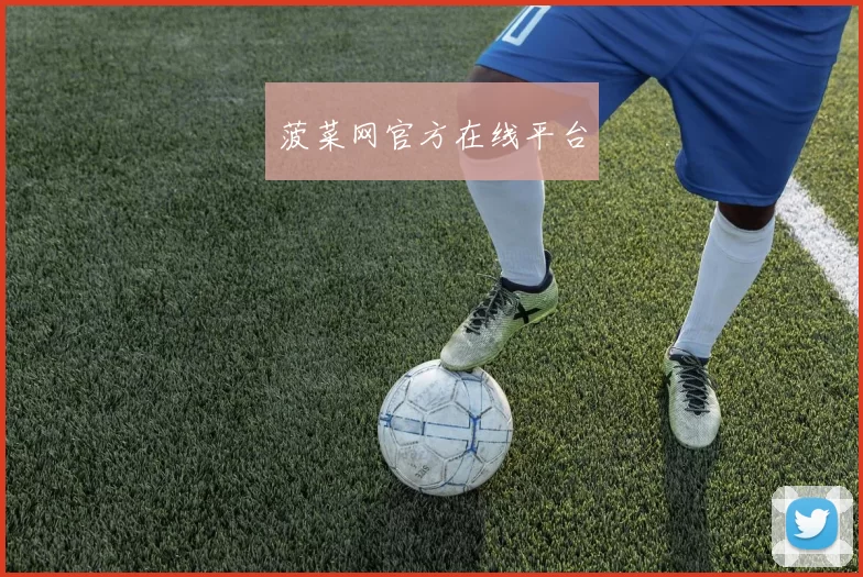 菠菜网官方在线平台