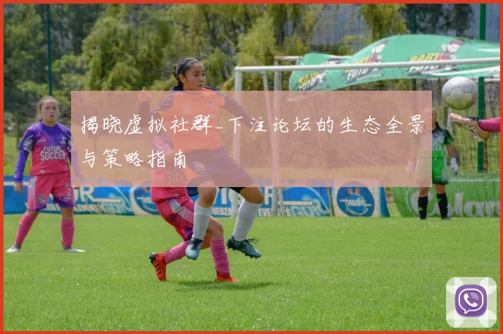 揭晓虚拟社群_下注论坛的生态全景与策略指南