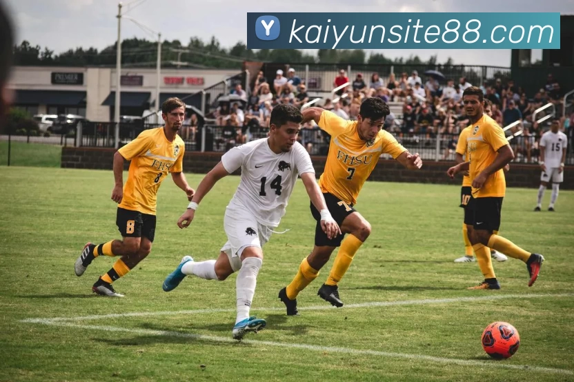 多媒体互动体验